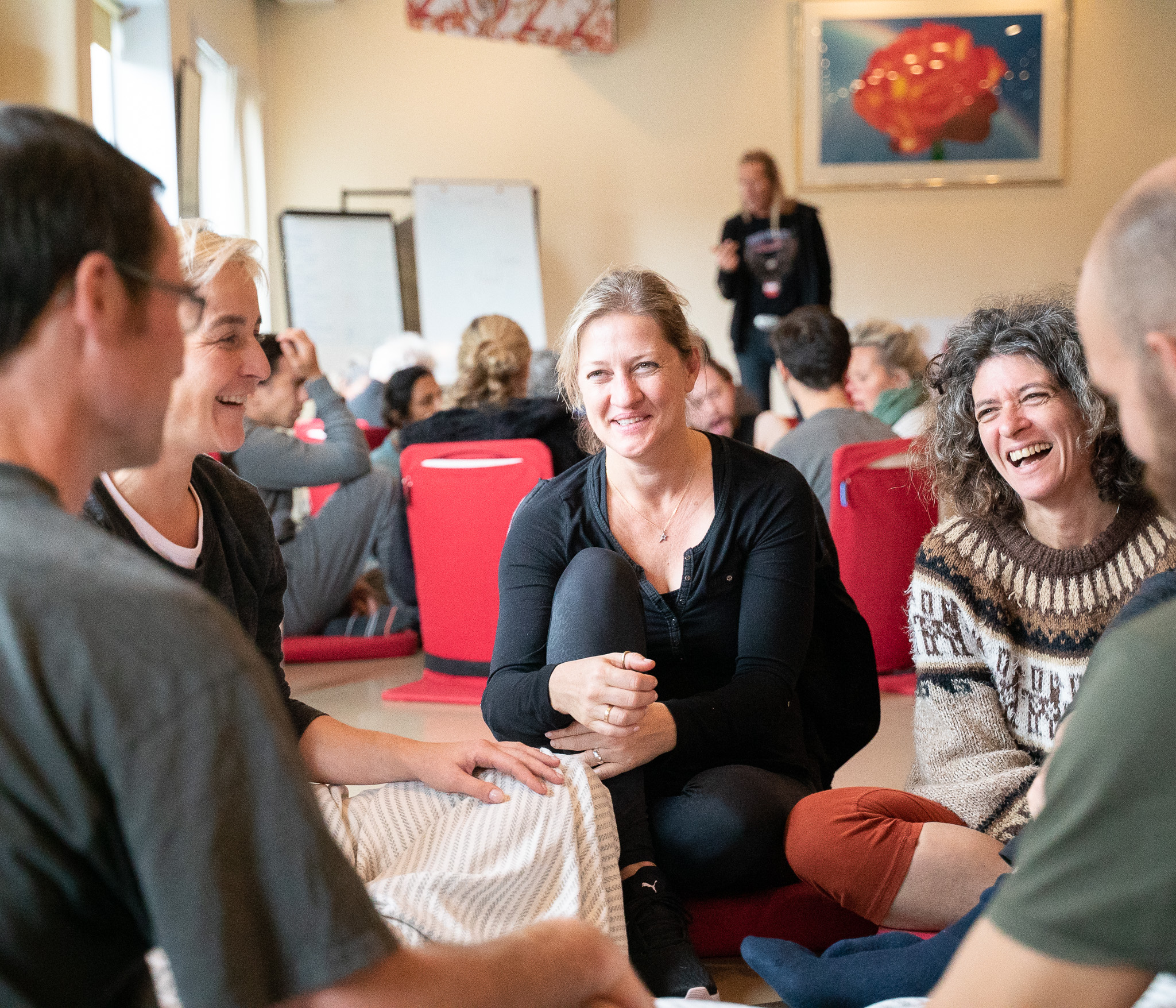 Therapist Training Level 4 Humaniversity